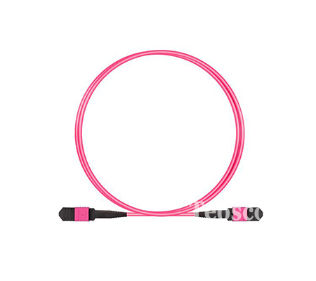 MPO/MTP Optical Patch Cord
